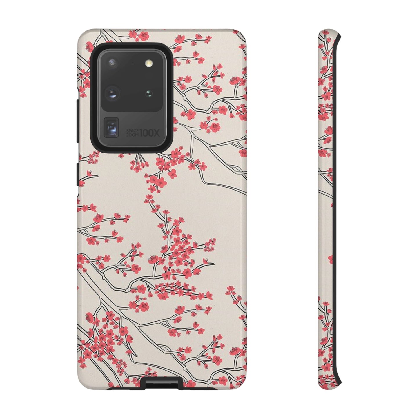 Spring in Japan