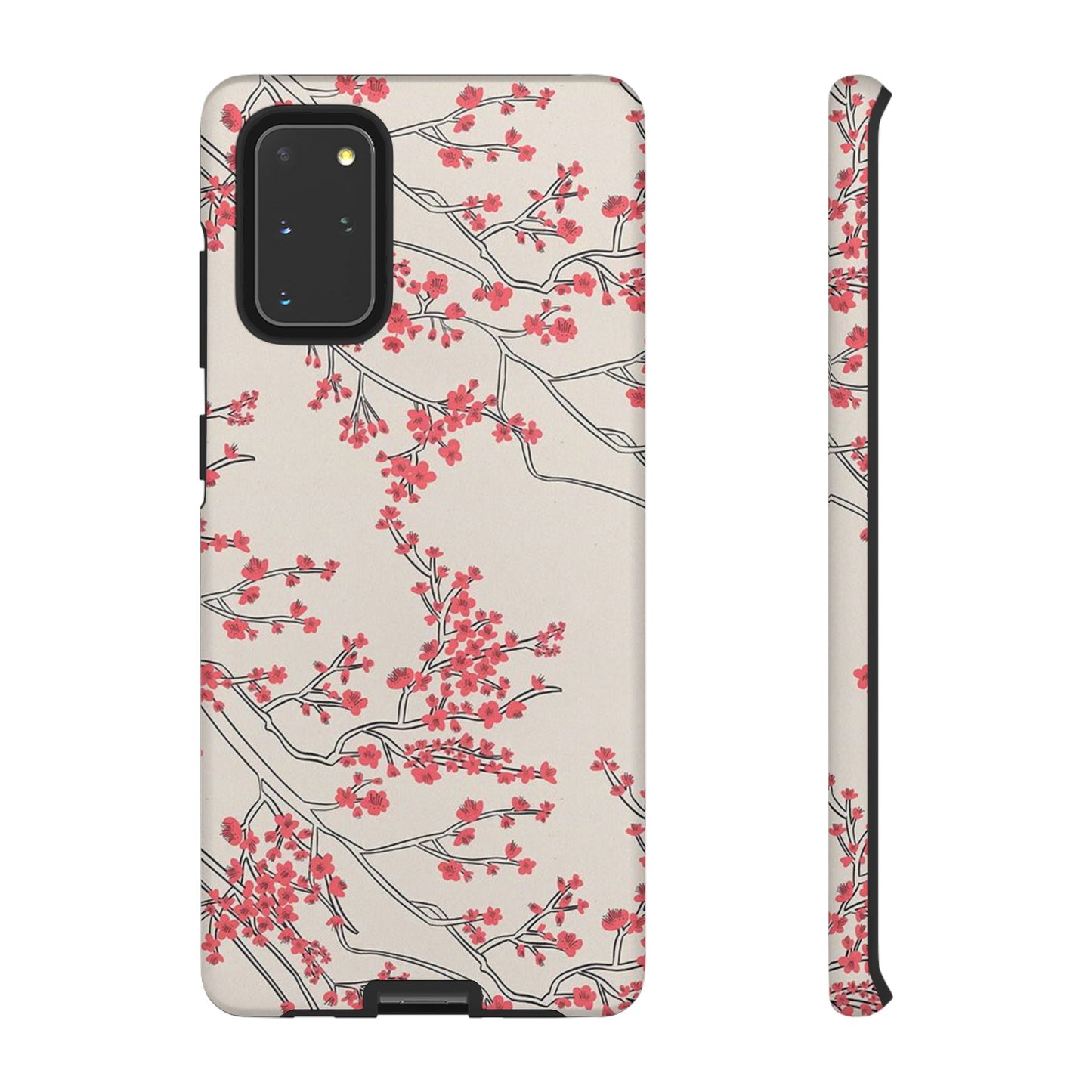 Spring in Japan