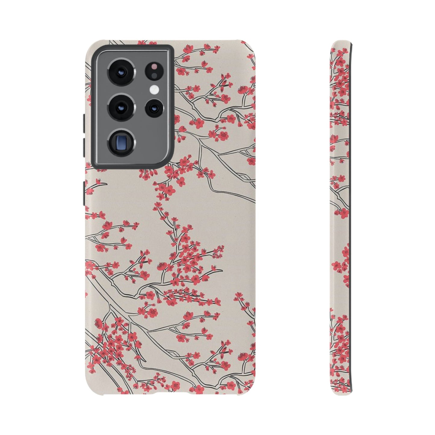 Spring in Japan