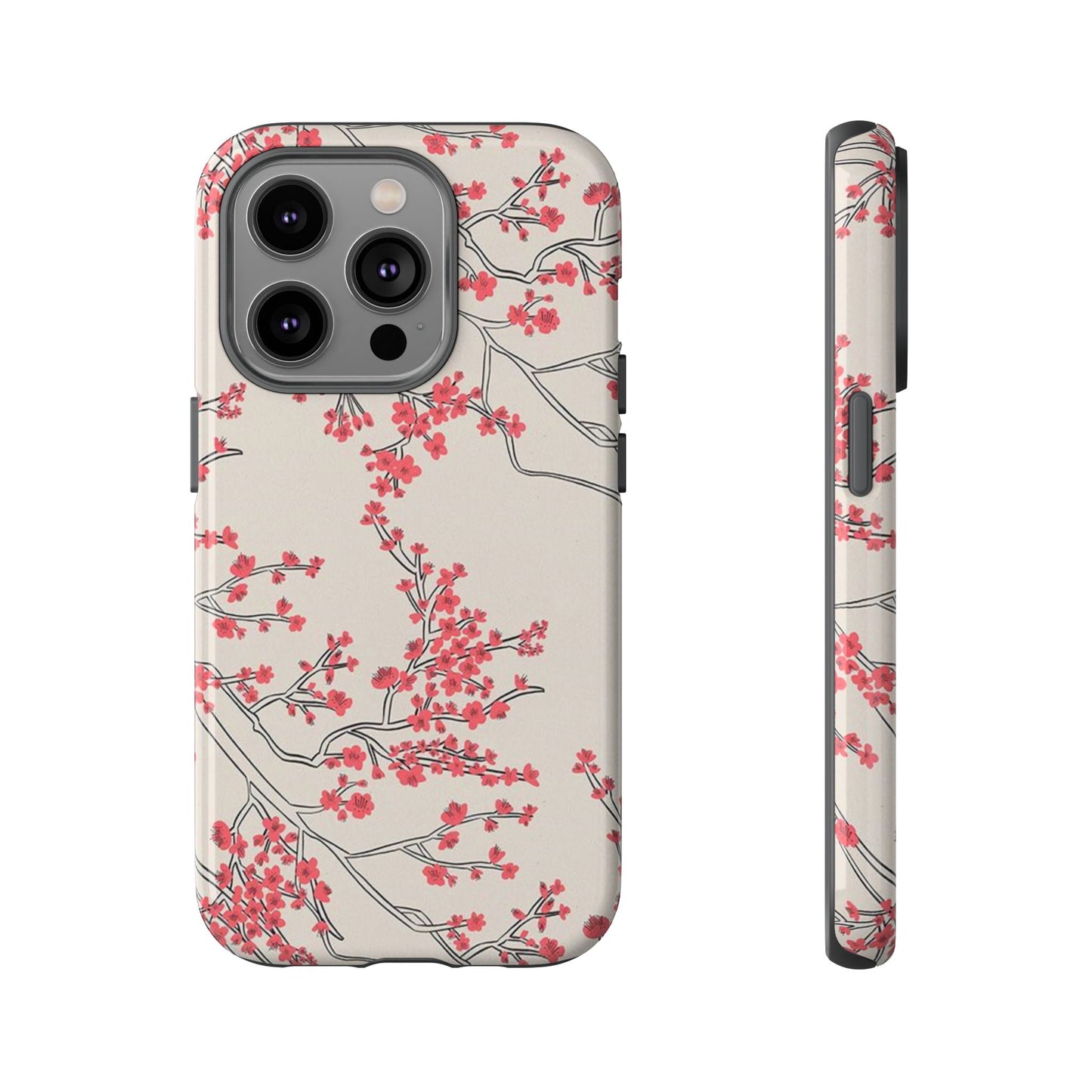 Spring in Japan