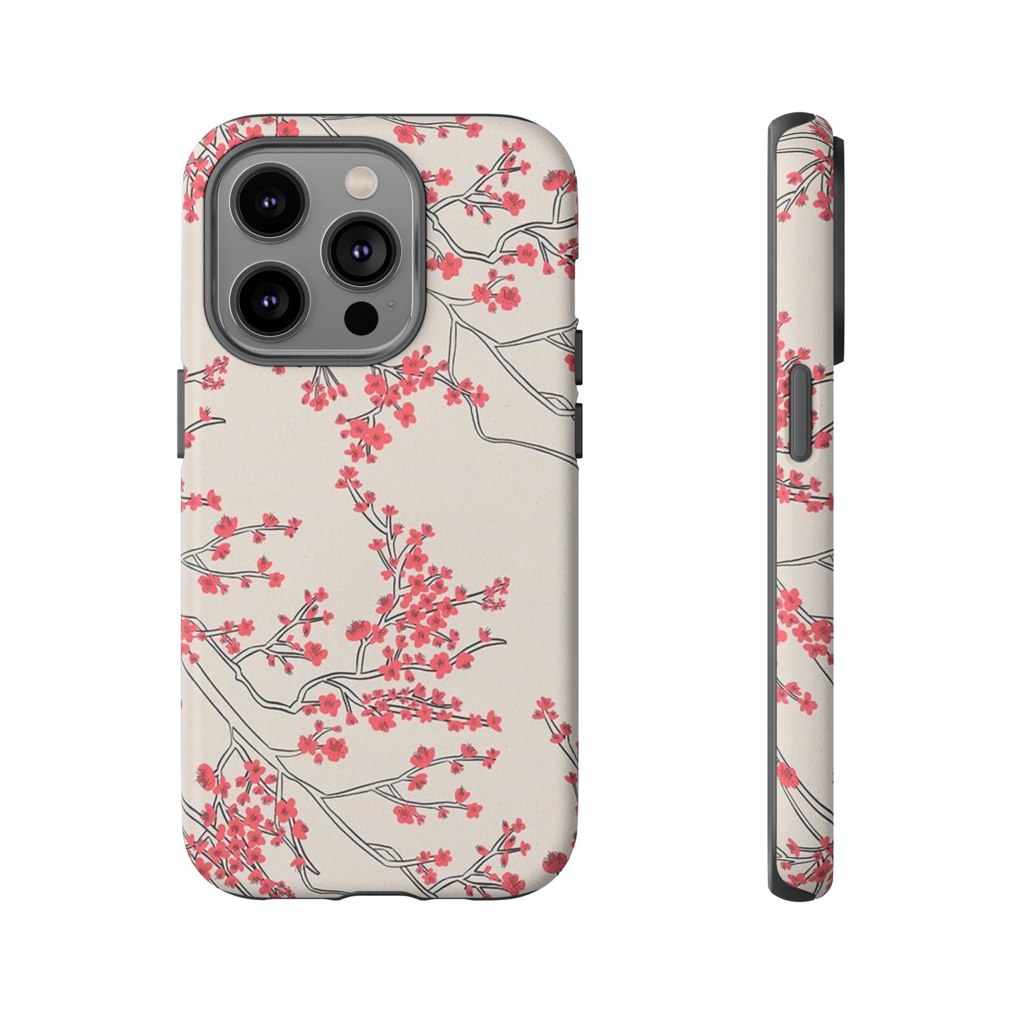 Spring in Japan
